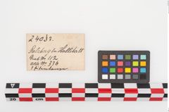 Etiketten zu Eisenlanzenspitze (NHMW-PRAE-024033)